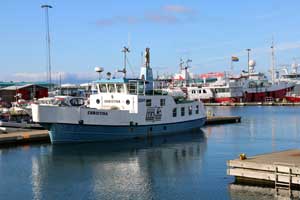 Ausflugsboot im Hafen von Reykjavik
