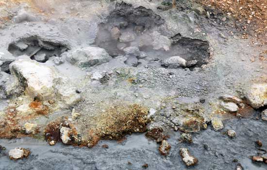 Rund um die Schlamml&ouml;cher eine Sinfonie in graublau und wei&szlig;-gelb 