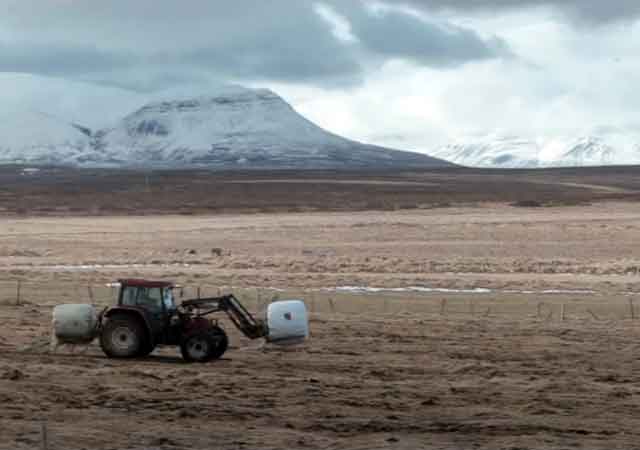 KALEO - Vor &iacute; Vaglask&oacute;gi auf youtube ansehen - Version 1