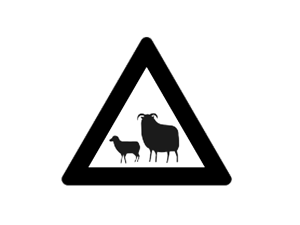 Island Schild: Achtung freilaufende Tiere