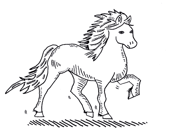 Islands ber&uuml;hmten Pferde auf einem kurzen 1-2 Stunden Ritt kennenlernen