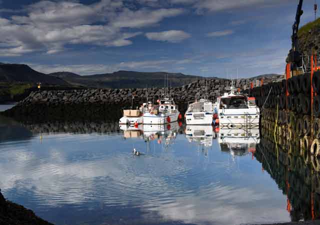 Hafenbecken von Arnarstapi