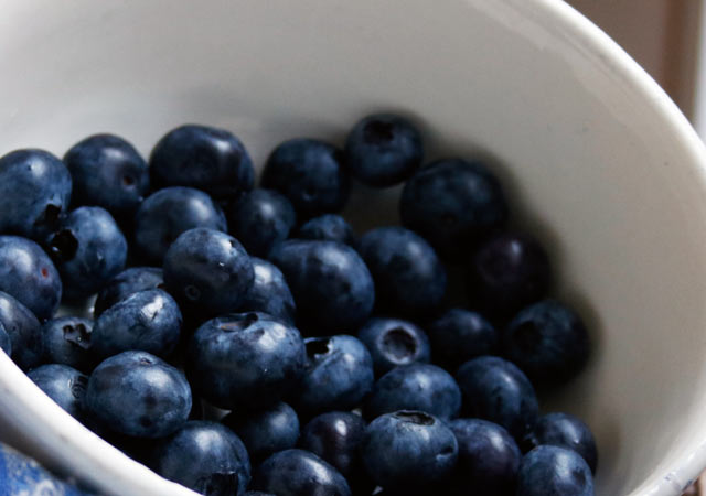 Die frischen Blaubeeren waschen und trocknen