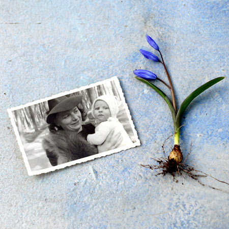 Geschenkidee Muttertag: Heiðas Traum Buch lesen oder verschenken