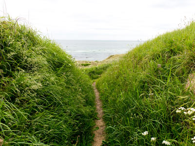 Malerischer K&uuml;stenweg bei Hirtshals