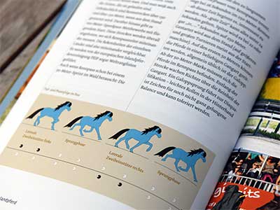  Buch über Islandpferde