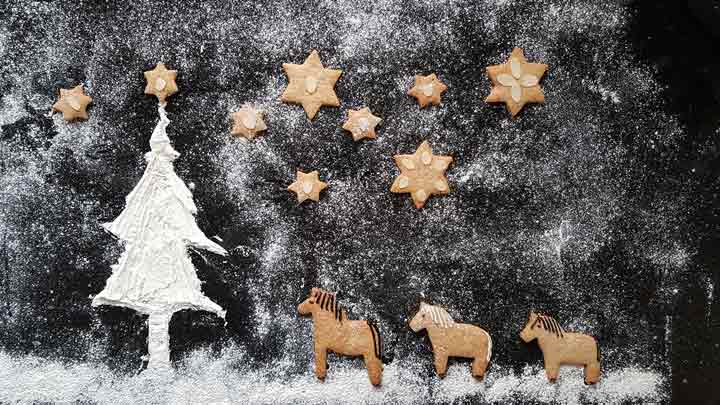 Pferdekekse Spekulatius einmal anders | Rezept