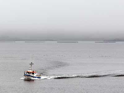 Dj&uacute;pivogur - Ein Fischerboot kehrt zur&uuml;ck