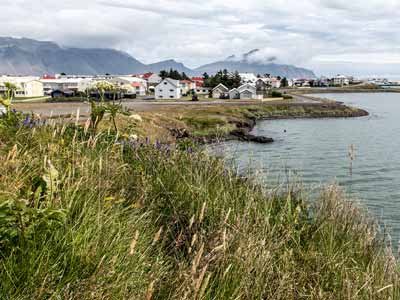 H&auml;user in H&ouml;fn. Im Hintergrund das markante Vestrahorn.