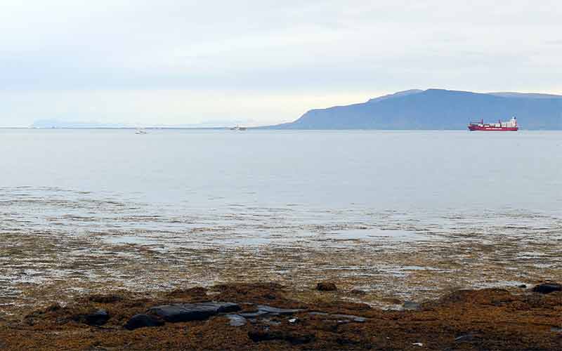 Ein Fischtrawler verl&auml;sst Reykjav&iacute;k