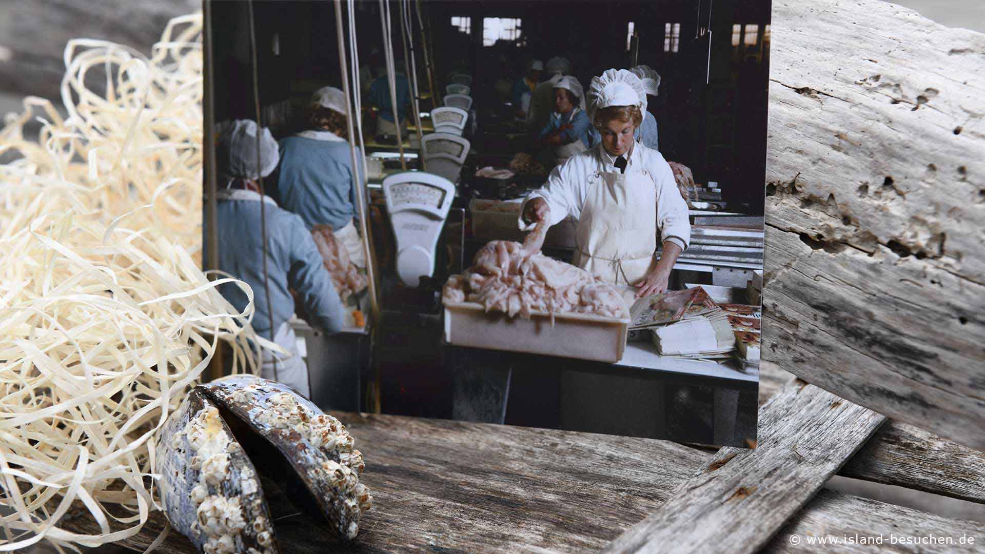 Fischverarbeitung Island