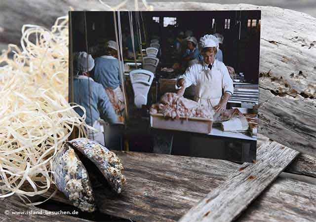 Island | Fisch | Wortschatz | Tipps | Angeln | Hochseefischen