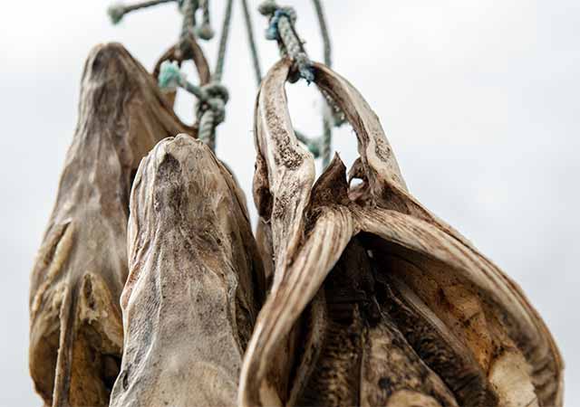 Getrocknete Fischkarkassen