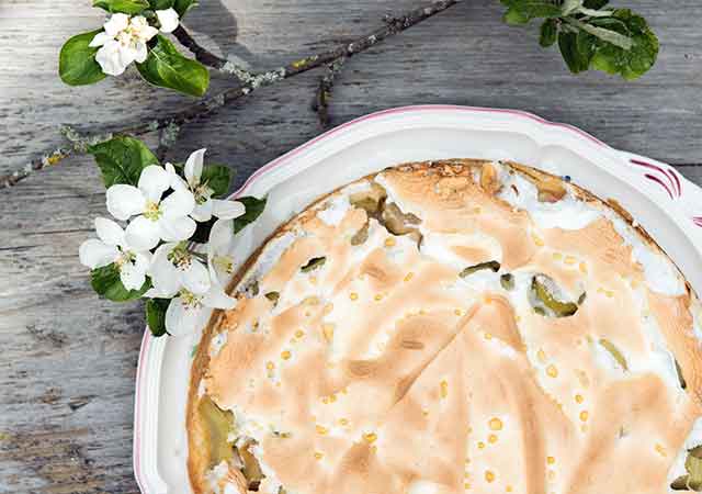 Island | Goldtr&ouml;pfchen  Rhabarberkuchen  | Rezept