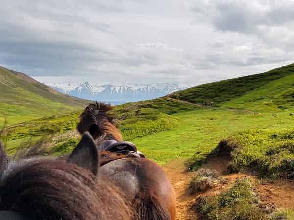 Auf alten Postwegen in die Berge (Tvistur | Dalvìk)