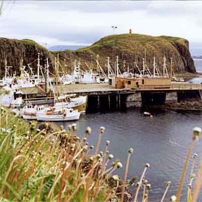 Stykkishólmur 1981