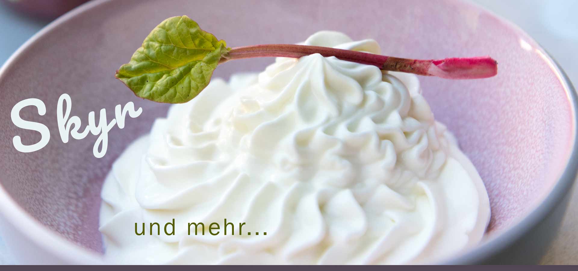 Weshalb ist AB-Mjólk im Kaffee keine gute Idee? Wie wird Skyr hergestellt? Was ist Súrmjólk oder Þykkmjólk? Ein Produktfinder für isländische Milchprodukte*