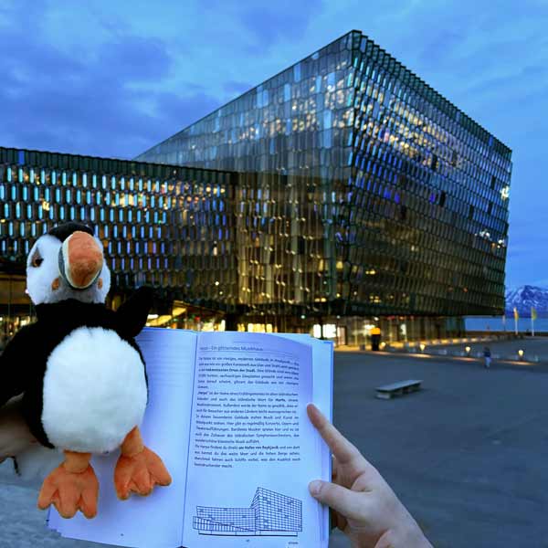 Farbenfrohe Häuser in Reykjavík in rot und blau