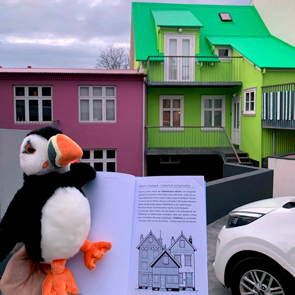 Farbenfrohe Häuser in Reykjavík in grün und rosa