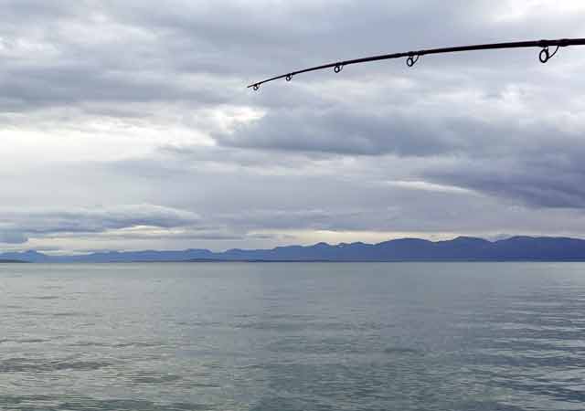 Island, Fisch, Meer, fluss, See, Angeln