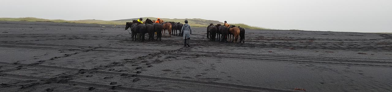 Auch bei Regenwetter kann ein Ausritt unvergesslich werden