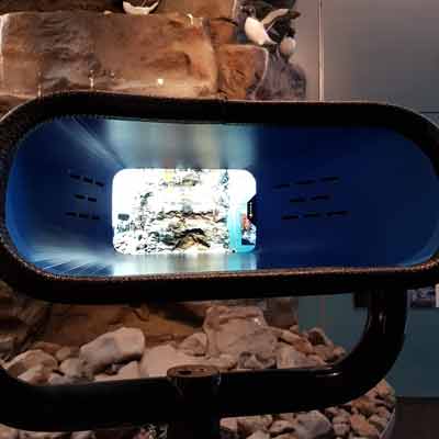 Augmented Reality am Látrabjarg Cliff  Wonders of Iceland