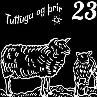 Island Adventskalender polaroid r&uuml;ckseite Schaf 23