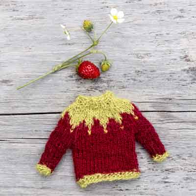 Mini-Pullover Lopapeysa Modell Elfensommer